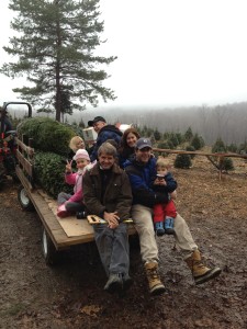 Visitors at Emmerich Tree Farm in Warwick, N.Y. have their freshly cut Christmas trees to bring home and decorate. Thousands of visitors come to Orange County each holiday season to visit nine Christmas tree farms and experience the fun of hand picking and cutting their own special Christmas trees.