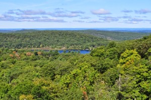 Harrmian State Park