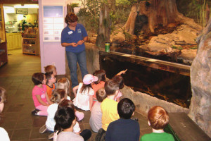 Hudson highlands nature museum