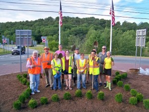 Liberty planting